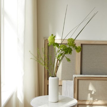 Calme 9.5φ16H (カルム)【WHITE】の画像