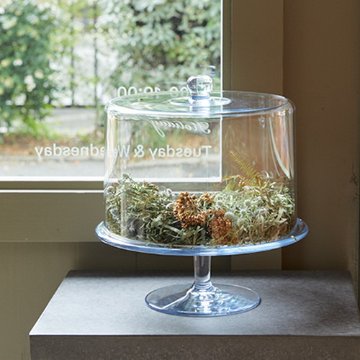 PC coverーS 31 (ピーシー カバー エス)【CLEAR】の画像