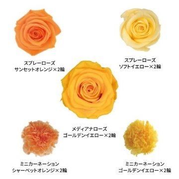 ミックスパレット ビタミンミックスの画像