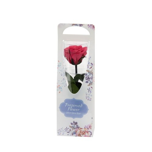 ショートステムローズ フラワードレス ホットピンクの画像