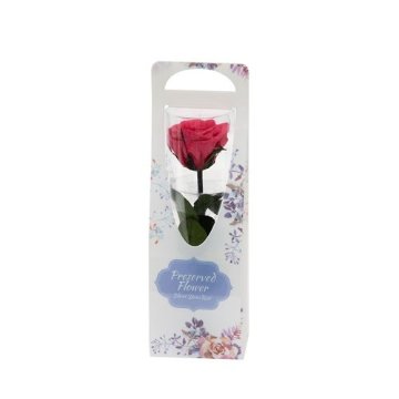 ショートステムローズ フラワードレス ホットピンクの画像