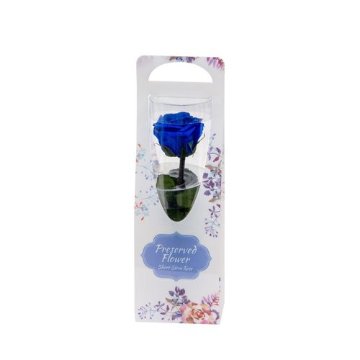 ショートステムローズ フラワードレス グランブルーの画像