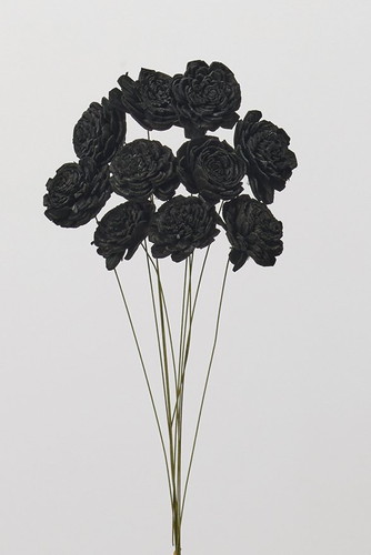 ソーラーローズ 小 黒【黒】の画像