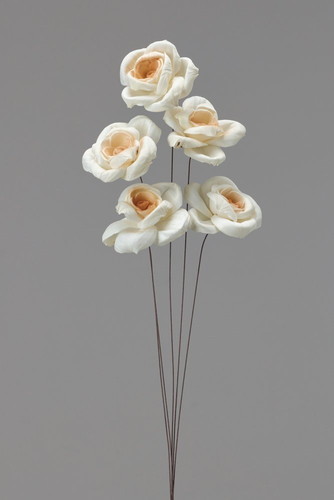 ソーラーアリスローズ 白/ブラウン【白/ブラウン】の画像