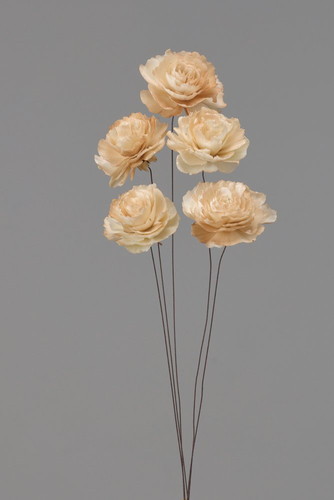 ソーラーケイトローズ ブラウン【ブラウン】の画像