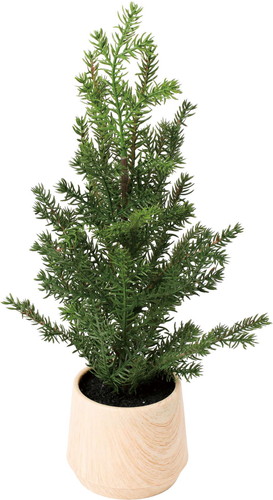 35cmミニパインリーフポットの画像