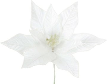 エッジグリッターポインピックWの画像