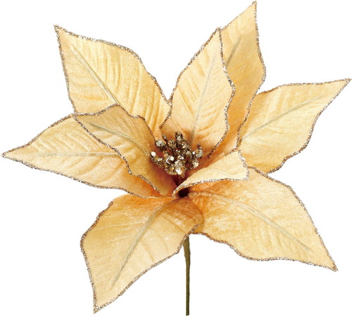 エッジグリッターポインピックGOの画像