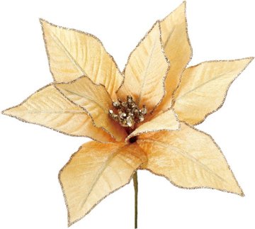 エッジグリッターポインピックGOの画像