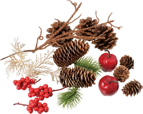 ベリーミックスパックRの画像