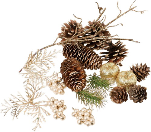 ベリーミックスパックGOの画像