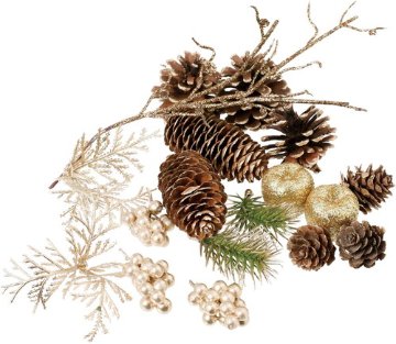 ベリーミックスパックGOの画像