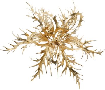 エレガントポインセチアピックGOの画像