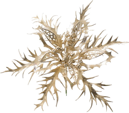 エレガントポインセチアピックCHPの画像