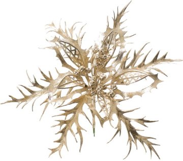 エレガントポインセチアピックCHPの画像