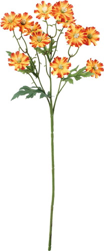 サンティニマムスプレーの画像