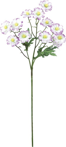 サンティニマムスプレーの画像