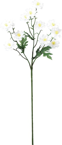 サンティニマムスプレーの画像