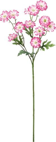 サンティニマムスプレーの画像