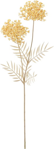 ノコギリソウスプレーの画像