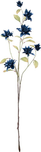 セレスティアクレマチスブランチの画像