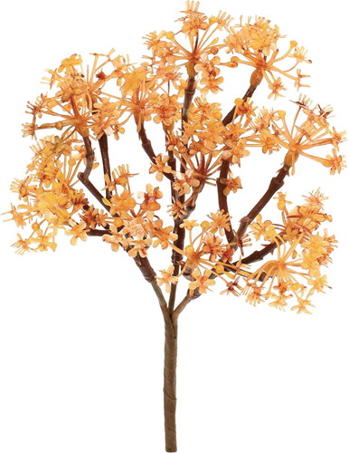 ミニキンモクセイブッシュの画像