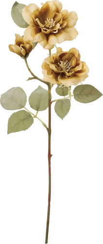 クレールガーデンローズの画像