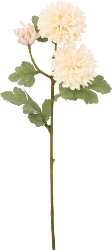 クレールボールマムスプレーの画像