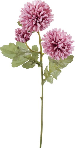 クレールボールマムスプレーの画像