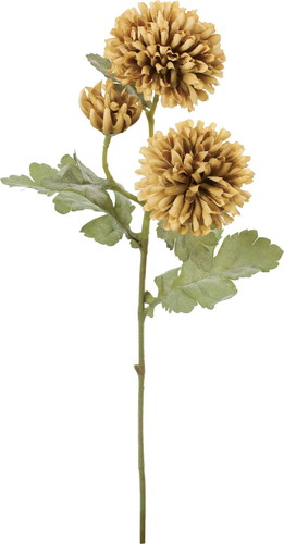 クレールボールマムスプレーの画像