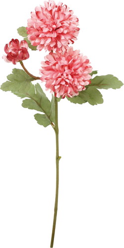 クレールボールマムスプレーの画像