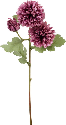 クレールボールマムスプレーの画像