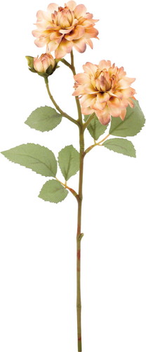 クレールダリアスプレーの画像