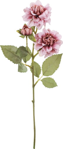 クレールダリアスプレーの画像