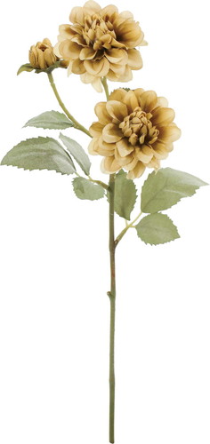 クレールダリアスプレーの画像