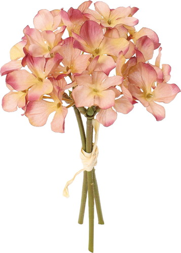 クレールアジサイバンドルの画像