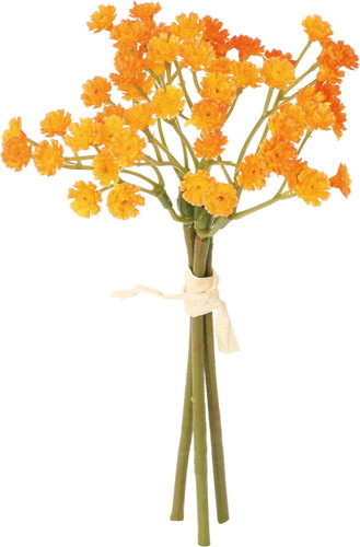 クレールカスミバンドルの画像