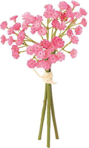 クレールカスミバンドルの画像