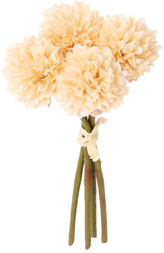 クレールポンポンマムバンドルの画像