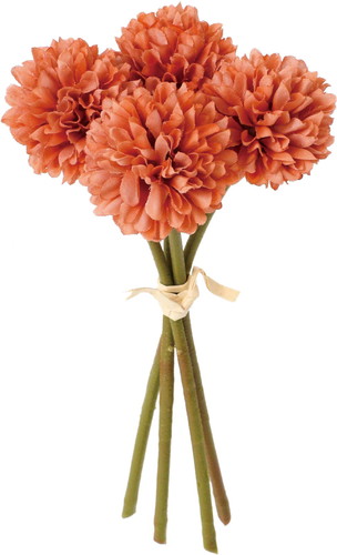 クレールポンポンマムバンドルの画像