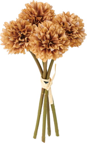 クレールポンポンマムバンドルの画像