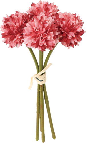 クレールポンポンマムバンドルの画像