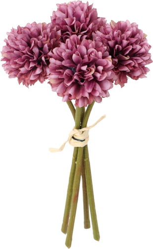 クレールポンポンマムバンドルの画像