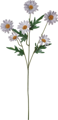 ノーブルデイジースプレーの画像