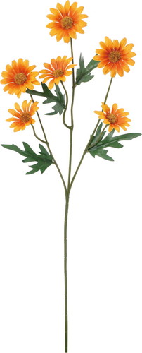 ノーブルデイジースプレーの画像