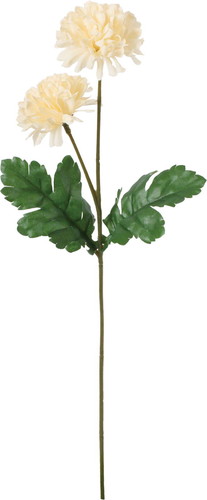 ノーブルマムスプレーの画像