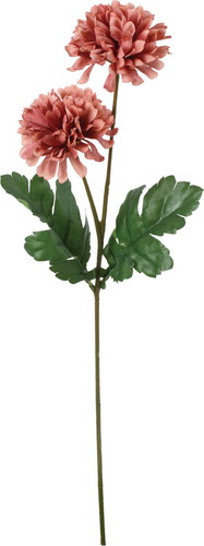 ノーブルマムスプレーの画像