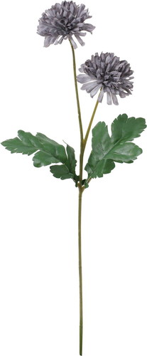 ノーブルマムスプレーの画像