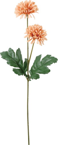 ノーブルマムスプレーの画像