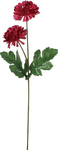 ノーブルマムスプレーの画像